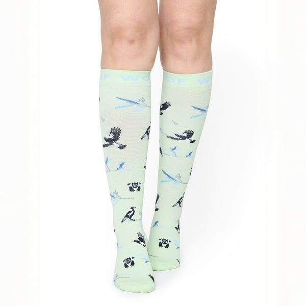 //ae.drwoofapparel.com/cdn/shopifycloud/storefront/assets/no-image-2048-a2addb12_grande.gif