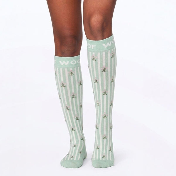 //ae.drwoofapparel.com/cdn/shopifycloud/storefront/assets/no-image-2048-a2addb12_grande.gif