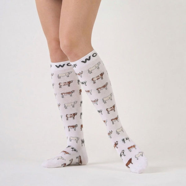 //ae.drwoofapparel.com/cdn/shopifycloud/storefront/assets/no-image-2048-a2addb12_grande.gif
