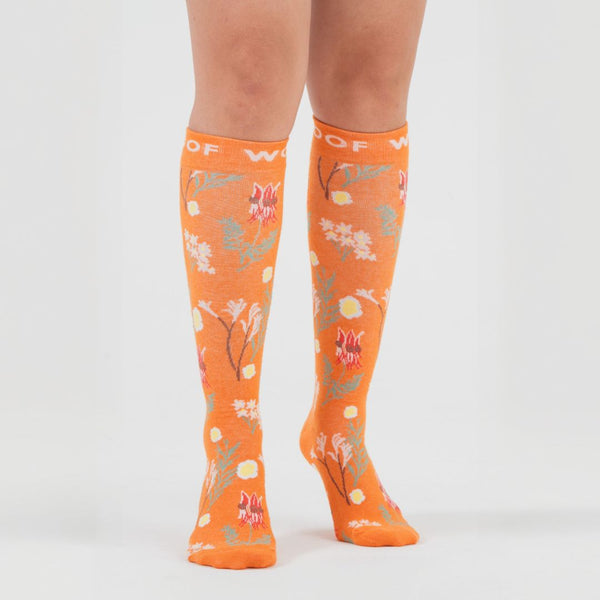 //ae.drwoofapparel.com/cdn/shopifycloud/storefront/assets/no-image-2048-a2addb12_grande.gif