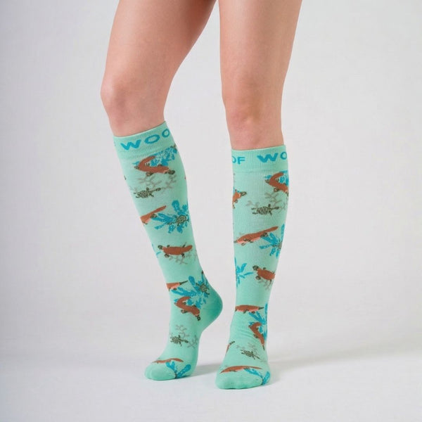 //ae.drwoofapparel.com/cdn/shopifycloud/storefront/assets/no-image-2048-a2addb12_grande.gif
