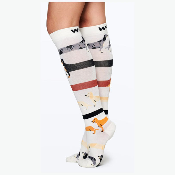 //ae.drwoofapparel.com/cdn/shopifycloud/storefront/assets/no-image-2048-a2addb12_grande.gif