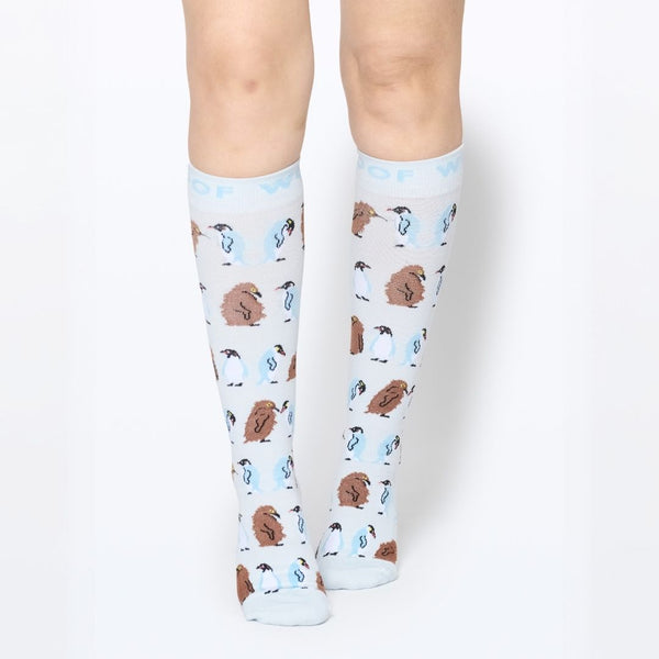 //ae.drwoofapparel.com/cdn/shopifycloud/storefront/assets/no-image-2048-a2addb12_grande.gif
