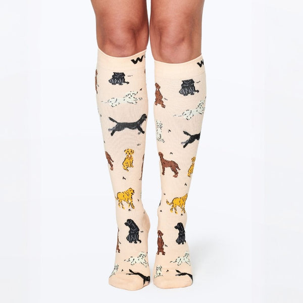 //ae.drwoofapparel.com/cdn/shopifycloud/storefront/assets/no-image-2048-a2addb12_grande.gif