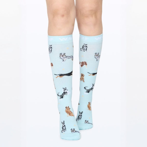 //ae.drwoofapparel.com/cdn/shopifycloud/storefront/assets/no-image-2048-a2addb12_grande.gif