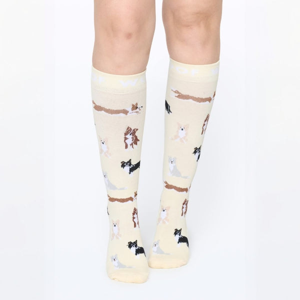 //ae.drwoofapparel.com/cdn/shopifycloud/storefront/assets/no-image-2048-a2addb12_grande.gif