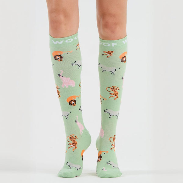 //ae.drwoofapparel.com/cdn/shopifycloud/storefront/assets/no-image-2048-a2addb12_grande.gif